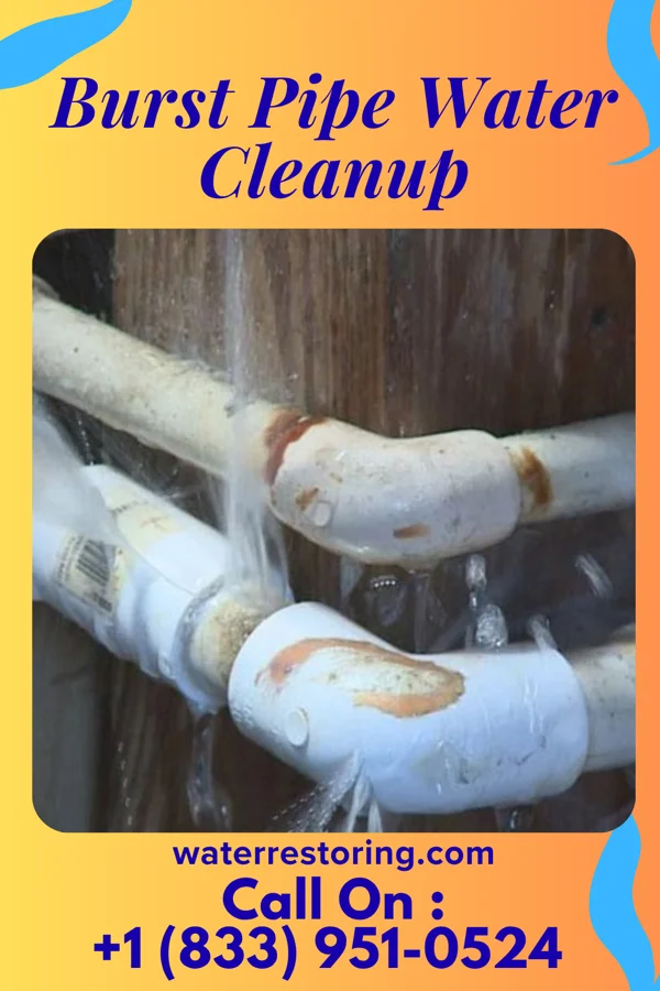 Burst Pipe Water Cleanup in East Lynne, MO
