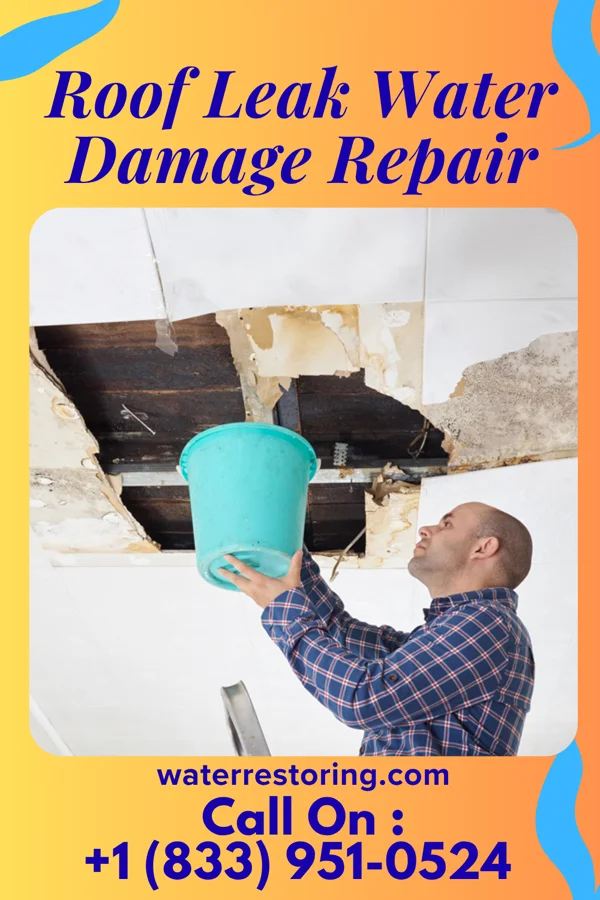 Roof Leak Water Damage Repair in East Lynne, MO