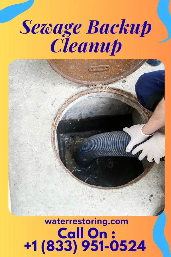 Sewage Backup Cleanup in East Lynne, MO